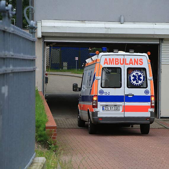 Wicej informacji: Zwierzta byy nieszczepione. Dwa ataki psw na Warszowie