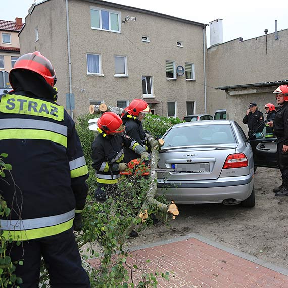 Przy Kotaja brzoza runa na samochd. Interweniowali straacy