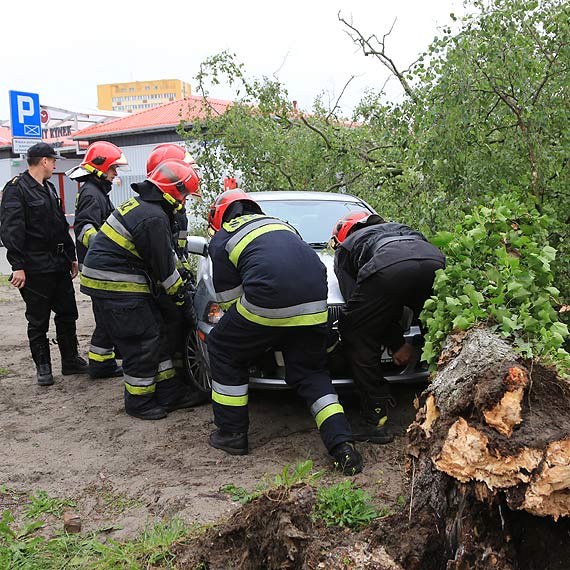 Przy Kotaja brzoza runa na samochd. Interweniowali straacy