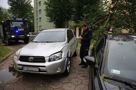 Na parkingu osiedlowym powalone drzewo uszkodzio toyot i volvo