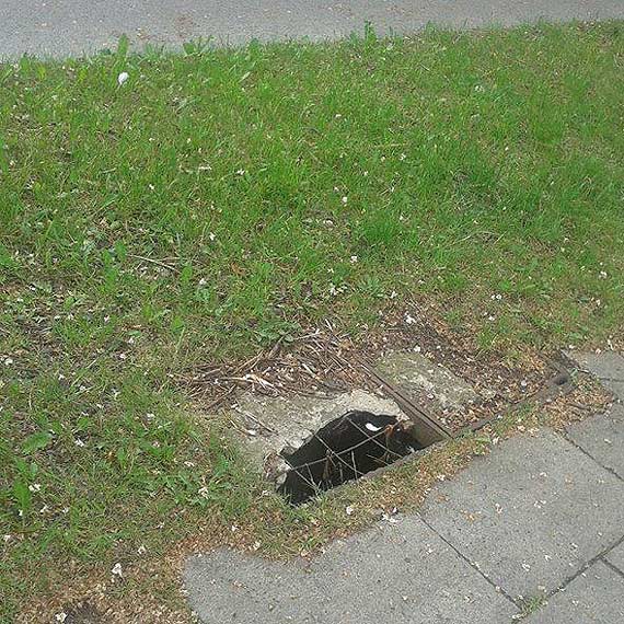 Niebezpieczna dziura w studzience na Warszowie!