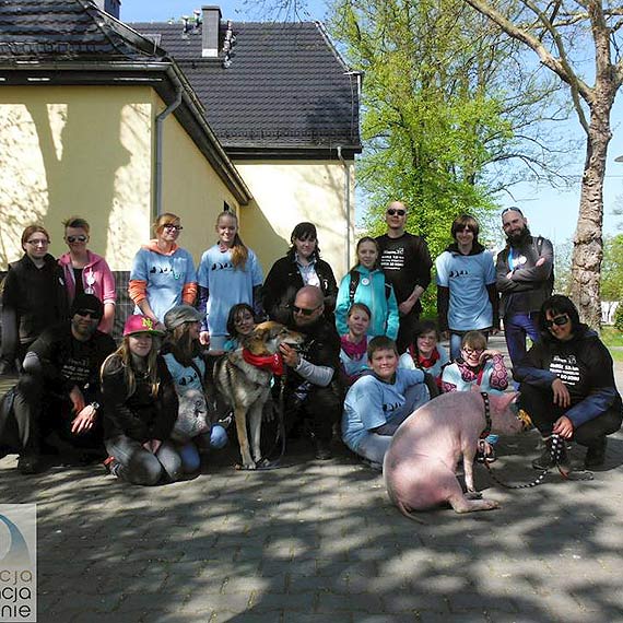 Wielu wolontariuszy włączyło się do akcji!