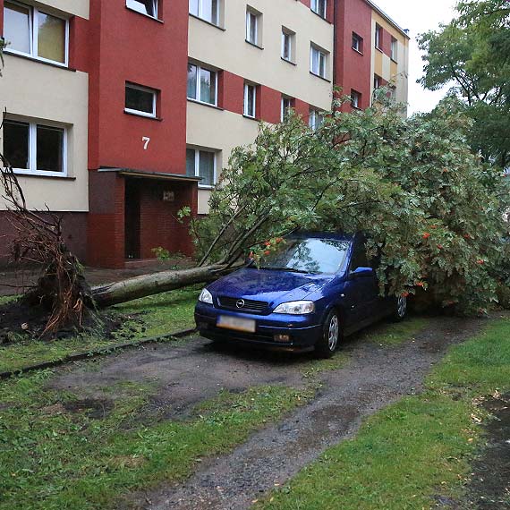 Błyski, grzmoty i grad. Żywioł nad Świnoujściem. Zobacz film!