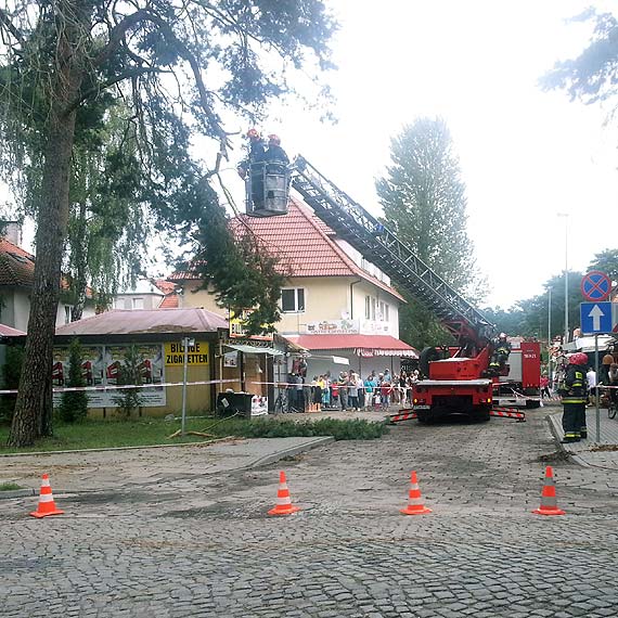 Straacy mieli pene rce roboty. Interweniowali ponad 50 razy 