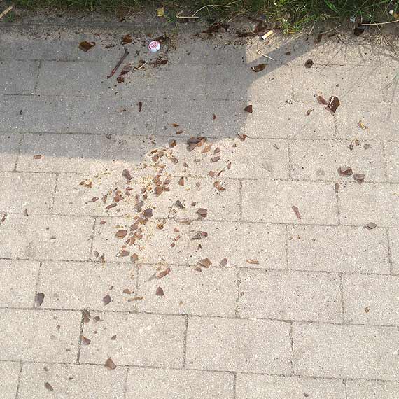Niebezpiecznie na terenie byłego skate parku