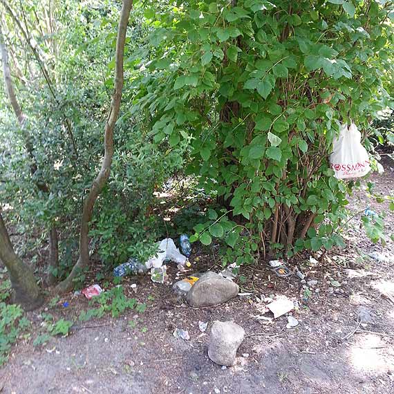 Czytelnik: Jest wysypisko mieci i wychodek dla psw, a mgby by plac zabaw