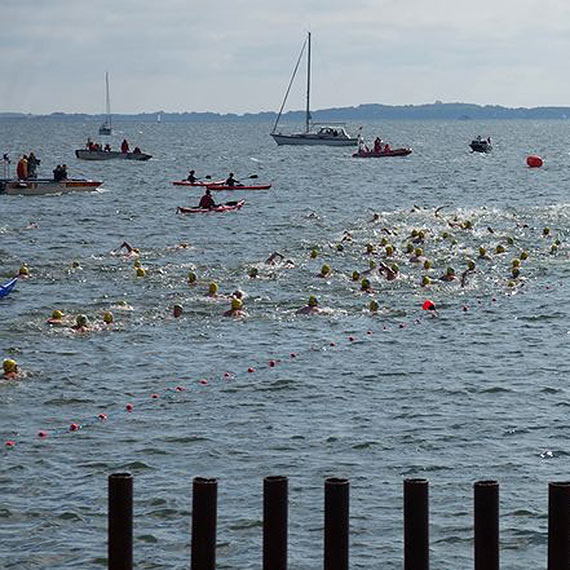 Maraton Pływacki VILMSCHWIMMEN 2014
