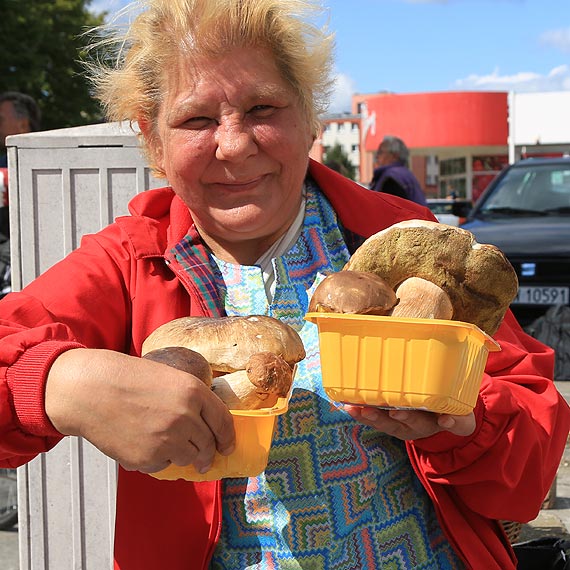 Id na grzyby! Borowiki i podgrzybki ju s 