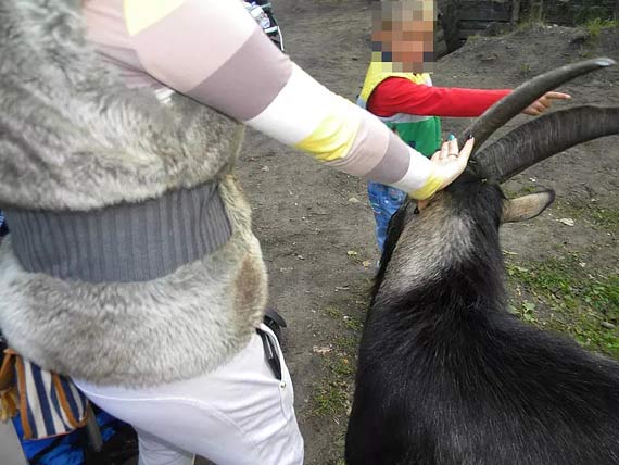Czytelniczka ostrzega przed zalotami capa Jaka