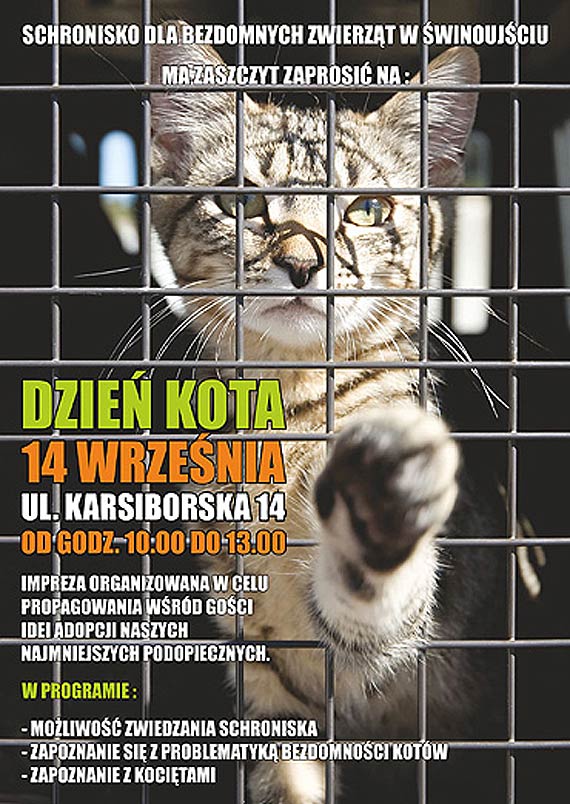 14.09 - Dzie Kota