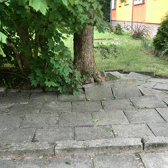 Czytelnik: Urzdnicy miasta kontra rzeczywisto