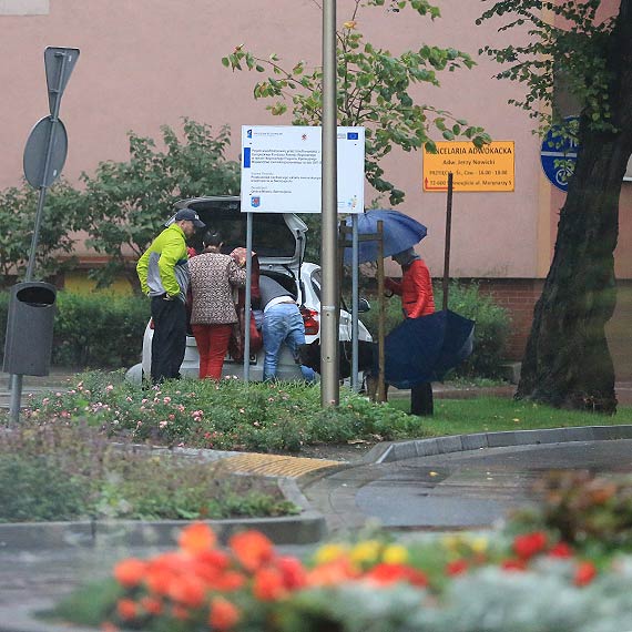 Pieskie życie, piękna historia