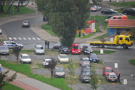 O włos od tragedii. Brawurowa jazda zakończyła się na drzewie