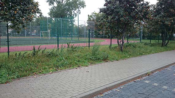 Zielone chaszcze na dojedzie do Kauflandu