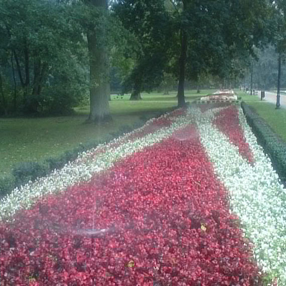 Marnotrawstwo? Zraszacze dziaay w deszczu