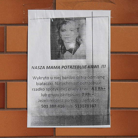 Dzieci prosz o krew dla swojej mamy!