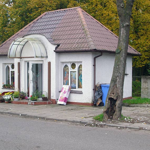 Czytelnik: Wyschnite drzewa zagraaj bezpieczestwu