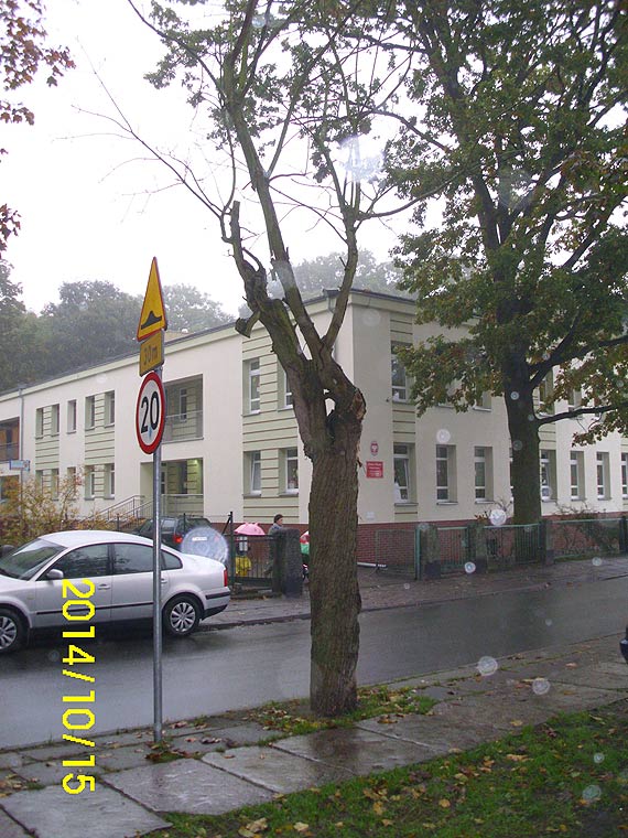 Czytelnik: Wyschnite drzewa zagraaj bezpieczestwu