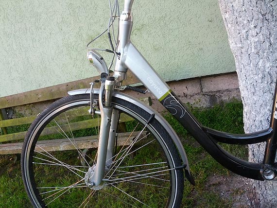 Pomcie go odnale