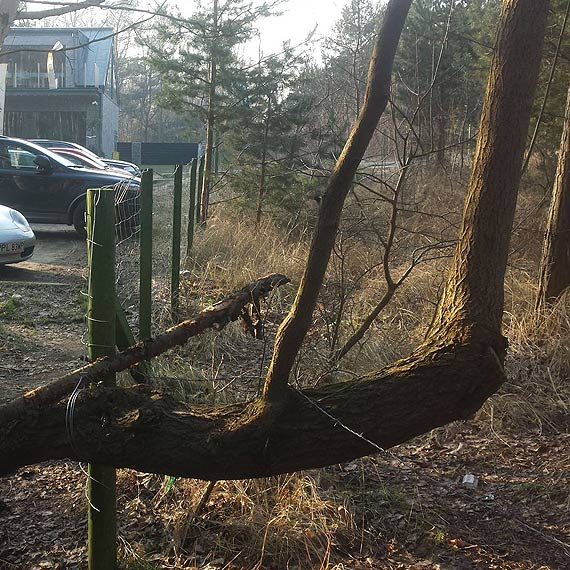 Tajemniczy drut zniknął