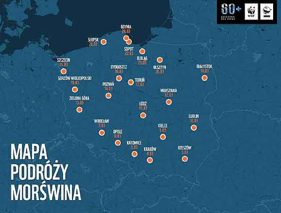 Co drugi Polak nie słyszał o morświnie!