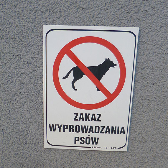 Pan Theo z Niemiec: Chce żeby był porządek, a wyzywają mnie od pedofili