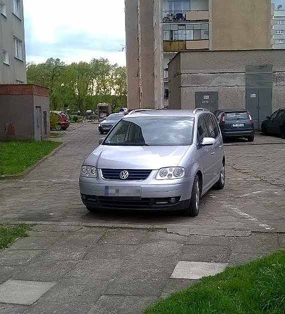 Czytelnik: Bestialski kierowca specjalnie przejechał młodą mewę! Słychać było tylko trzask kości...