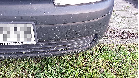 Kierowco! Strzeż się trawników! Czytelnicy: Nasze samochody są brudne i porysowane!