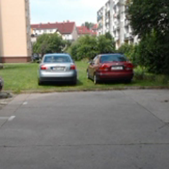 Mistrzowie parkowania na trawniku...
