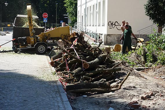 Zrobią nam z miasta pustynię?