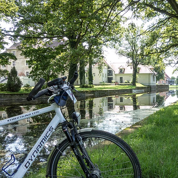 ŚWIRY jadą na grilla do Pudagli