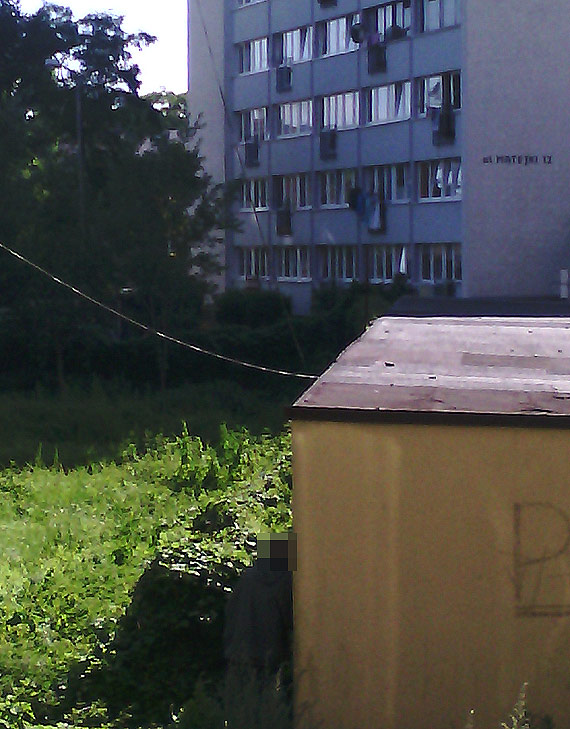 Sowianin zapewnia, e bezdomni zniknli