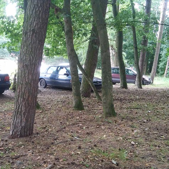 Popijawy, przekleństwa, sikanie. Na wszystko patrzą dzieci