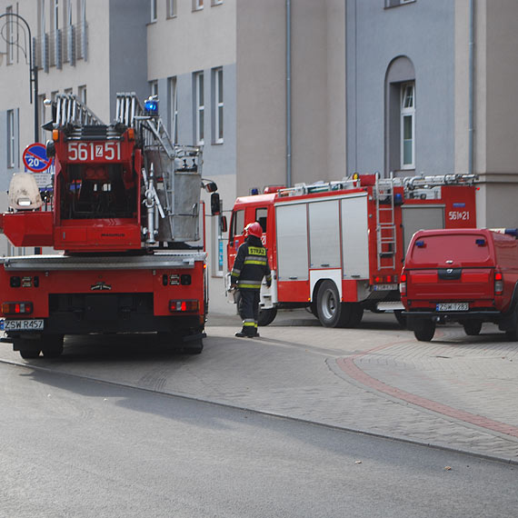 Inwazja os w szpitalu! Wezwano straż
