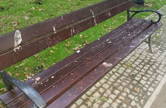 Czytelnik: awka rozpaczy w Parku Zdrojowym. Chcesz usi to  zabierz ze sob szmatk i wod!