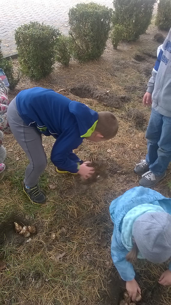 Kwiaty przypomn o cierpicych