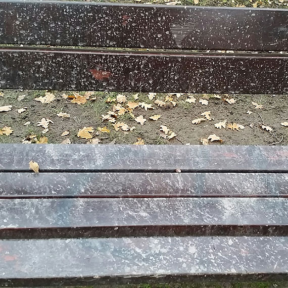 Zaniedbane, brudne, nie do siedzenia - kto odpowiada za stan ławek w Parku Zdrojowym?
