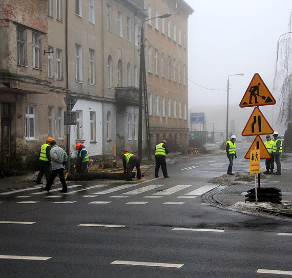 Czytelnik: Eksterminacja drzew trwa... Nie chcę żyć w betonie!