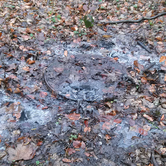 Czytelnik: Rowy melioracyjne w Parku Zdrojowym pene ciekw! Park przyjmie wszystko?