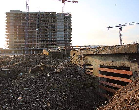 Co knuje Zdrojowa Invest? Wyrżnęli drzewa, zostały bunkry, będą konie arabskie i szejkowie?