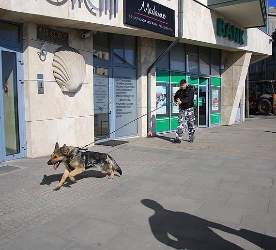 Do poszukiwa sprawcy napadu na bank, policjanci wczyli psa tropicego!