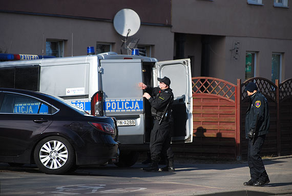 Wilczur z krwi ofiary na pysku beztrosko biega po ulicach. Policja i stra miejska bezradne. May piesek walczy o ycie