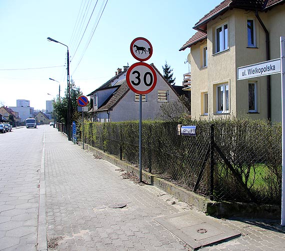 Ulica Wielkopolska - pod koami pdzcych samochodw gin kolejne koty