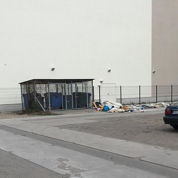 W Świnoujściu dokarmiają szczury?