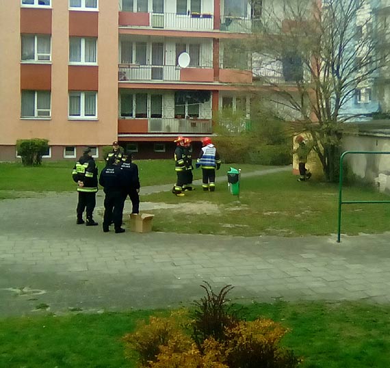 Czytelnik: Dzikuj panom ze Stray Miejskiej za szybk i skuteczn interwencj!