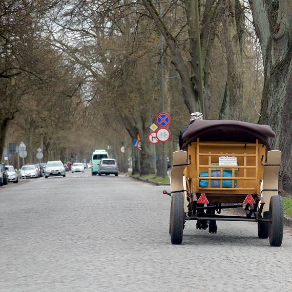  Zastaa miasto z dorokarzami, zostawi ich z zasikami? Jaka przyszo czeka bryczki w winoujciu?
