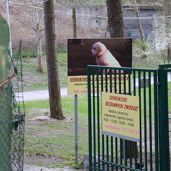 Wybior nowego opiekuna dla schroniska na 2 lata