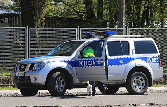 Uciekała przed policją wioząc w samochodzie małe dziecko oraz psa. Policjanci zatrzymali ją przy wjeździe do Komendy Portu Wojennego!