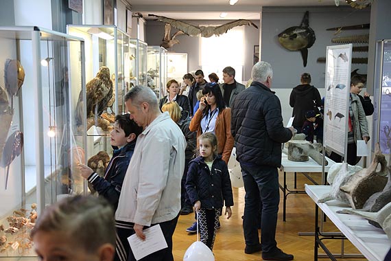 Tłumy zwiedzały Muzeum Rybołówstwa podczas nocy muzeów