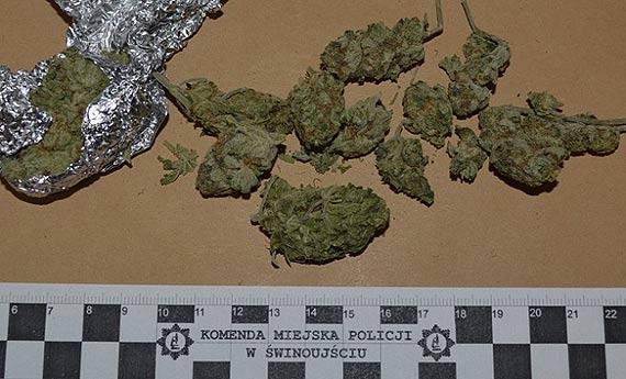 Pali skrta przy policjancie! 20-letni obywatel Woch i jego o rok starszy kolega, zostali zatrzymani!